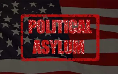 US Immigration Consultation & Document Review 9