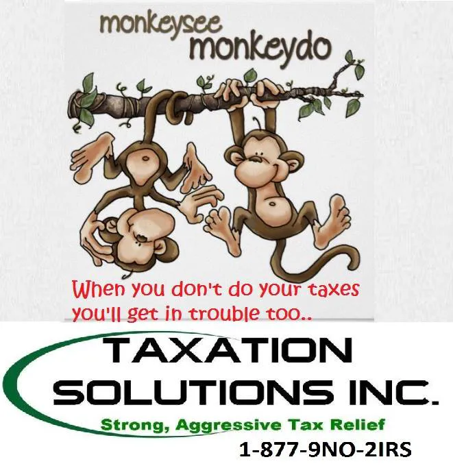 Taxation Solutions, Inc. 6