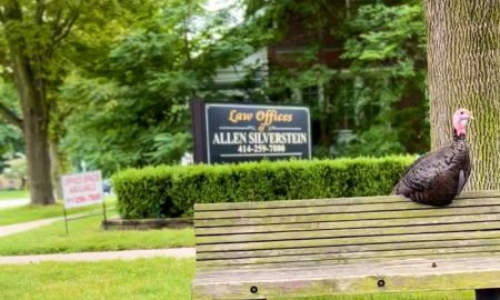 Allen Silverstein Law Offices