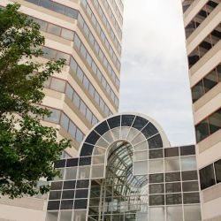 Mingo & Yankala, S.C. ico