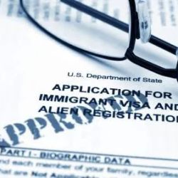 Ryan Immigration Law ico