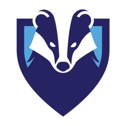 Badger Injury Law ico