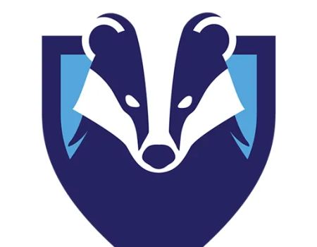 Badger Injury Law