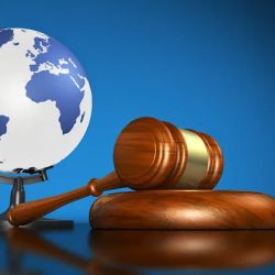 P&M IMMIGRATION LAW SERVICES ico