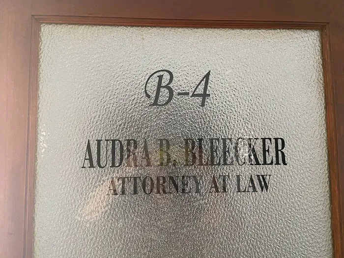 Bleecker Law 10