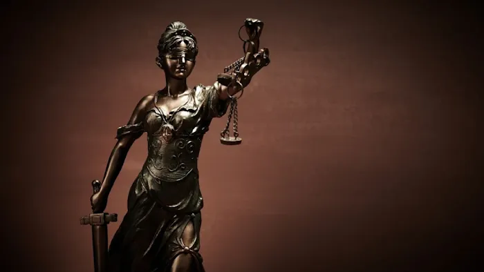 Fridie Law Group L.L.C. 2