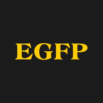 Eisenstat Gabage & Furman Pc 2