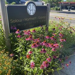 Solow, Hartnett & Galvan, LLC ico