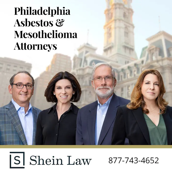 Shein Law 8