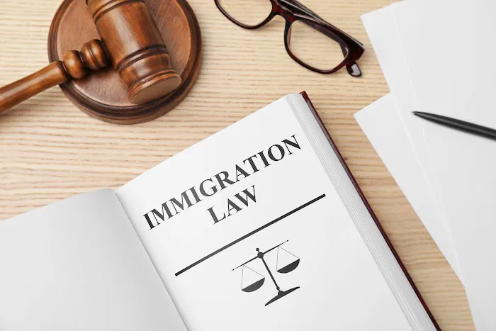 Canales Law Offices, LLC 3