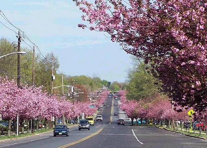 Cherry Hill Personal Injury Lawyer 1