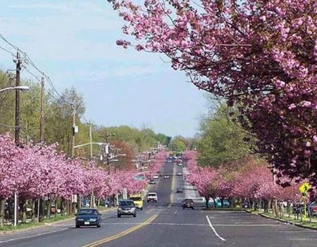 Cherry Hill Personal Injury Lawyer