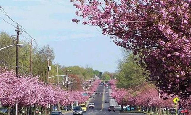 Cherry Hill Personal Injury Lawyer