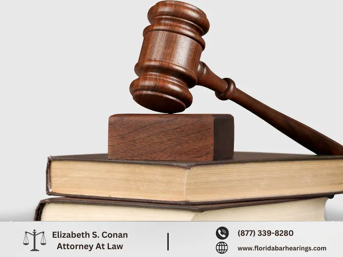 Law Office of Elizabeth S. Conan, P.A. 1