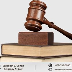 Law Office of Elizabeth S. Conan, P.A. ico