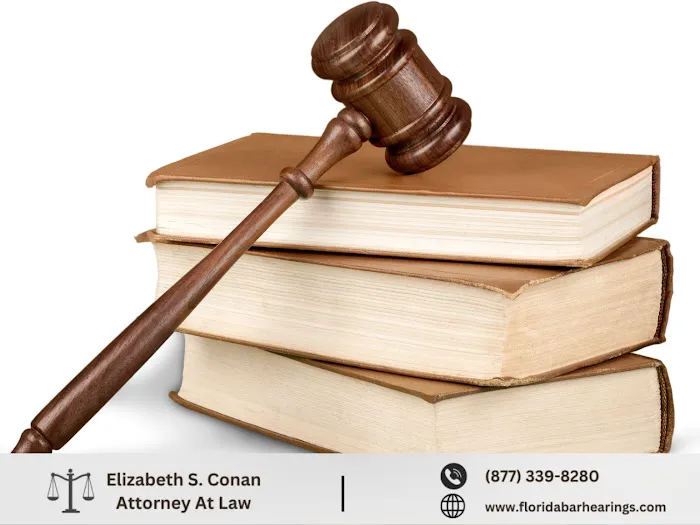 Law Office of Elizabeth S. Conan, P.A. 2