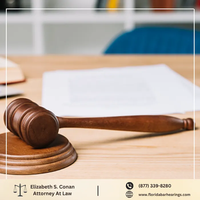 Law Office of Elizabeth S. Conan, P.A. 3