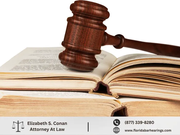Law Office of Elizabeth S. Conan, P.A. 7