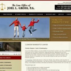The Law Office of Joel L. Gross, P.A. ico