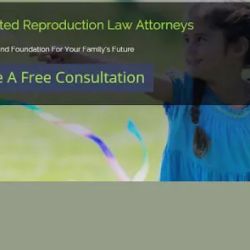 Steven H. Snyder and Associates ico