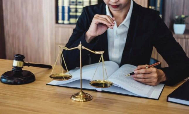 Civil Law Lawyers vs. Criminal Defense Lawyers: What Sets Them Apart and How to Choose