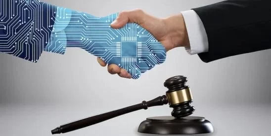 The Role of the Family Lawyer in Adoption Cases: Expert Guidance and Real-World Insights