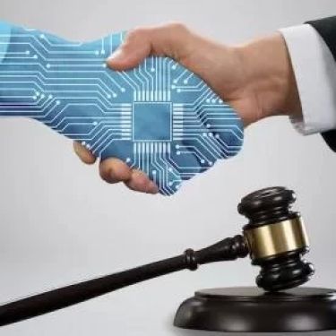 The Role of the Family Lawyer in Adoption Cases: Expert Guidance and Real-World Insights