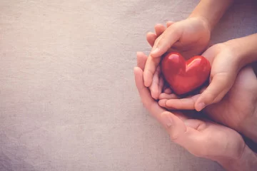 Navigating the Adoption Process with Legal Support for a Smooth Journey