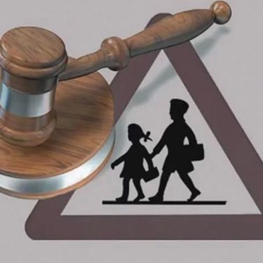 Understanding Guardianship and Adoption Law: Key Insights and Practical Guidance