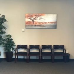 Disability Help Group Arizona ico
