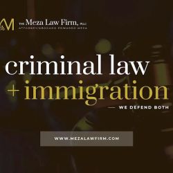 The Meza Law Firm, PLLC ico