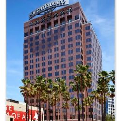 Morgan Law Offices ico