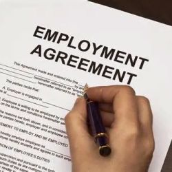 United Employees Law Group ico