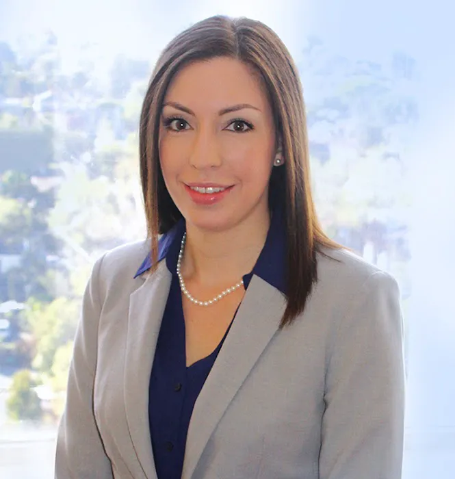 Law Office of Castro & Vindiola 4