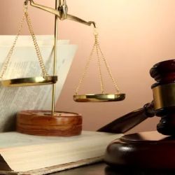 Law Offices of Elainie Honjas ico