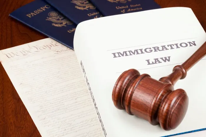 Naya Immigration Attorneys 2