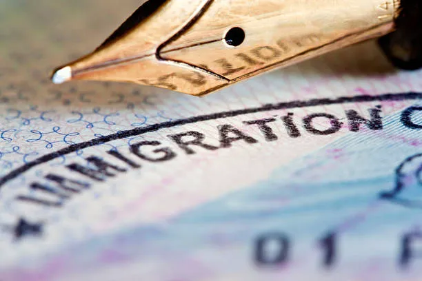 Naya Immigration Attorneys 1