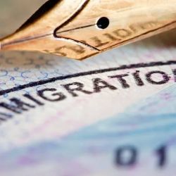 Naya Immigration Attorneys ico