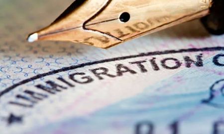 Naya Immigration Attorneys