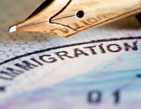 Naya Immigration Attorneys