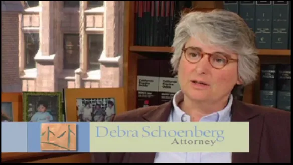 Schoenberg Family Law Group, P.C. - Divorce Attorneys 1