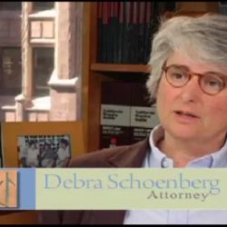 Schoenberg Family Law Group, P.C. - Divorce Attorneys ico