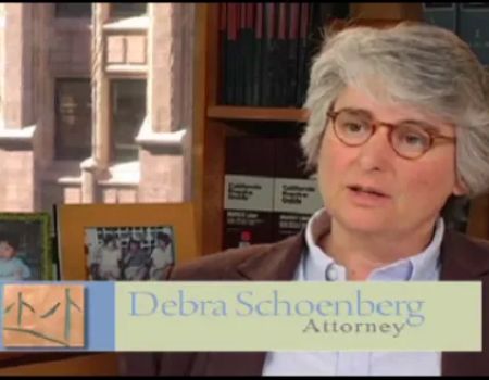 Schoenberg Family Law Group, P.C. - Divorce Attorneys