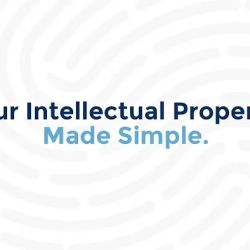 The Rapacke Law Group, P.A. ico