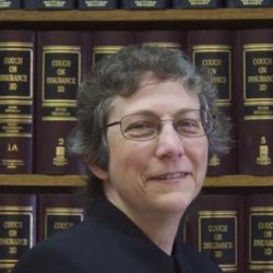 Law Office of Susan D Pelmulder, ROSE PERKINS PELMULDER, APA ico