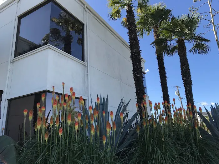 Sheldon R Blum Law Offices 2