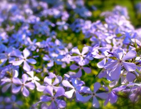 Bryant Estate Planning & Elder Law