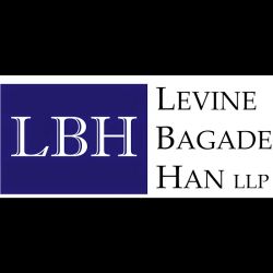 Levine Bagade Han LLP ico