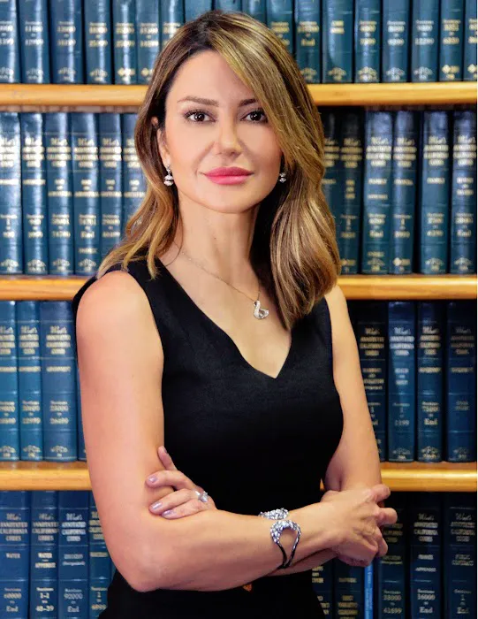 Dalili Law Group 2