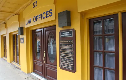 Law Office of Denise Martinez PLLC 1